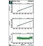 LEVEL 2 product: Long term trend station coordinates - as absolute gravity aligned dN,dE,dU